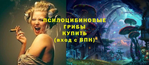 прущий лед Елизово