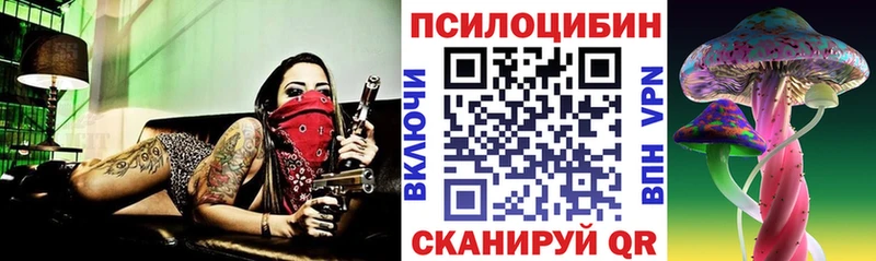 Купить где  Новоуральск  Галлюциногенные грибы мицелий 